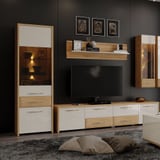 robna kuca stanojcic mmp VITRINA V61 2KS1FGL 4