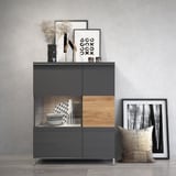 robna kuca stanojcic mmp VITRINA V90 2KSON 4